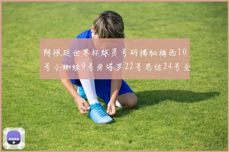 阿根廷世界杯球员号码揭秘梅西10号小蜘蛛9号劳塔罗22号恩佐24号全解析